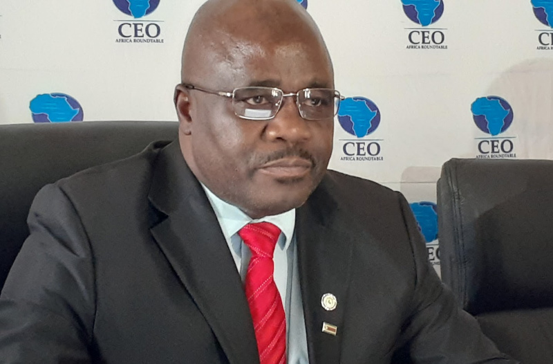 ceo africa roundtable