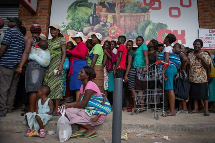 Zim Shortages