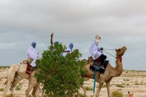 Seibou Traore (Ivory Coast) “Every day, people, through their lifestyles, help the Earth breathe a little easier. No action is too small, no gesture is in vain when it comes to giving future generations a chance. The desert dweller knows how to appreciate the tree that the forest dweller destroys!”