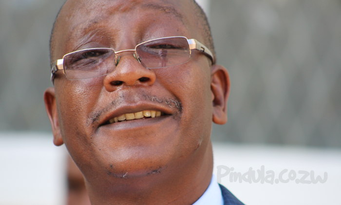 Ziyambi rubbishes BBI “2030” document